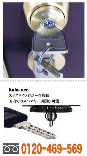 cJFލ̎{sÃJMJA}V̌Agu͂CB